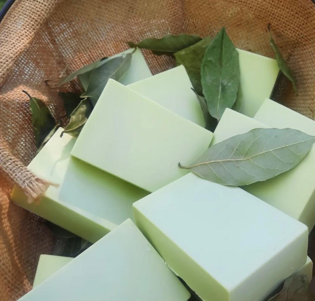 Close-up of olive oil soap bar with bay leaf